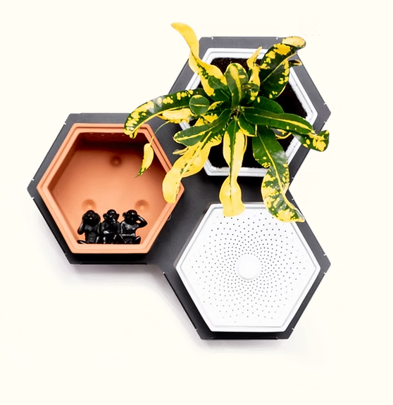 Horticus Mini Living Wall Kit