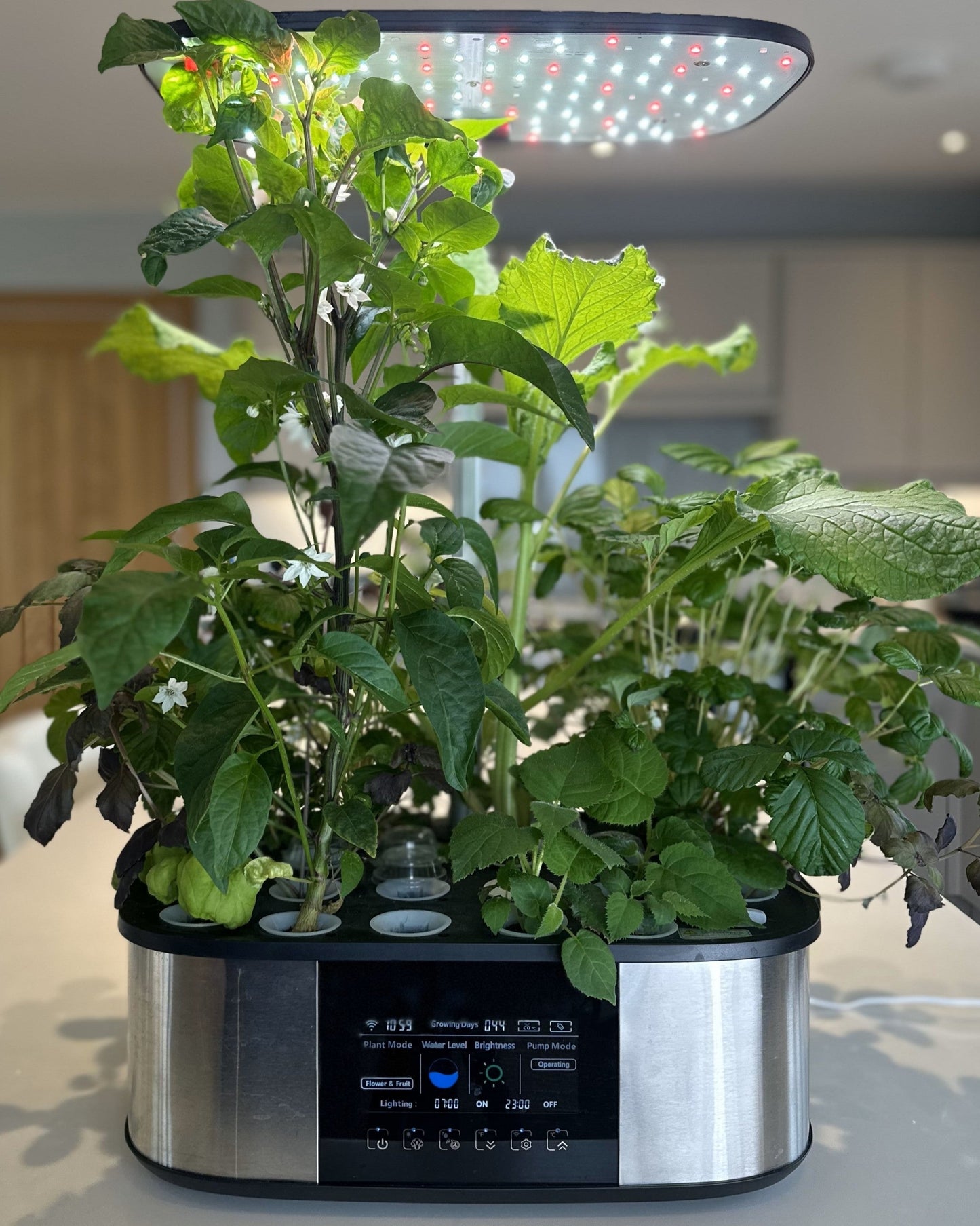 21 Pod Smart Garden Deluxe