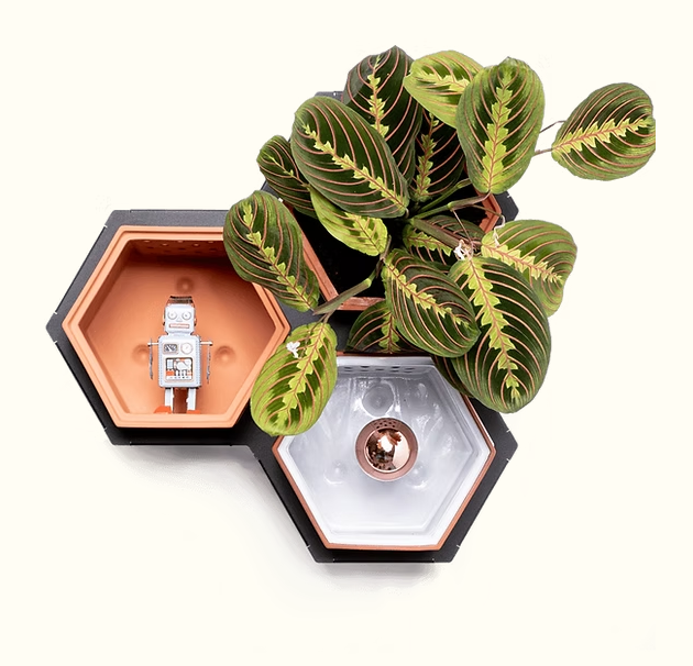 Horticus Mini Living Wall Kit