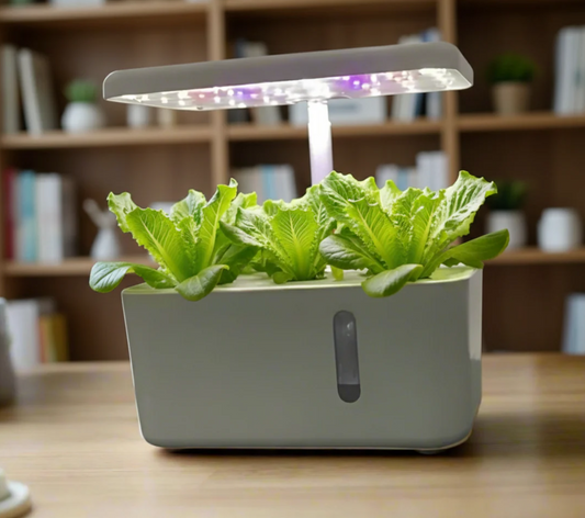 West Kent 5 Pod Smart Garden Mini