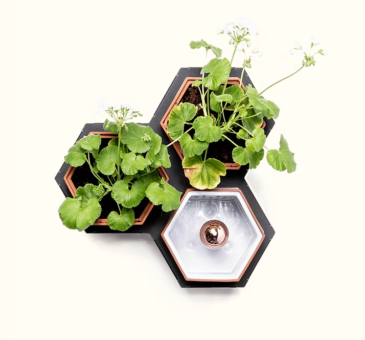 Horticus Mini Living Wall Kit