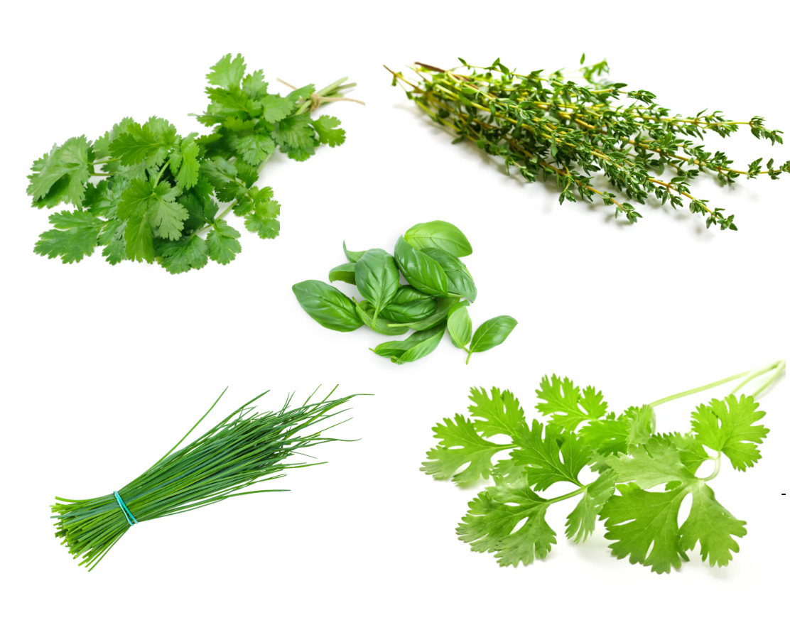 West Kent 21 Pod Smart Garden Deluxe