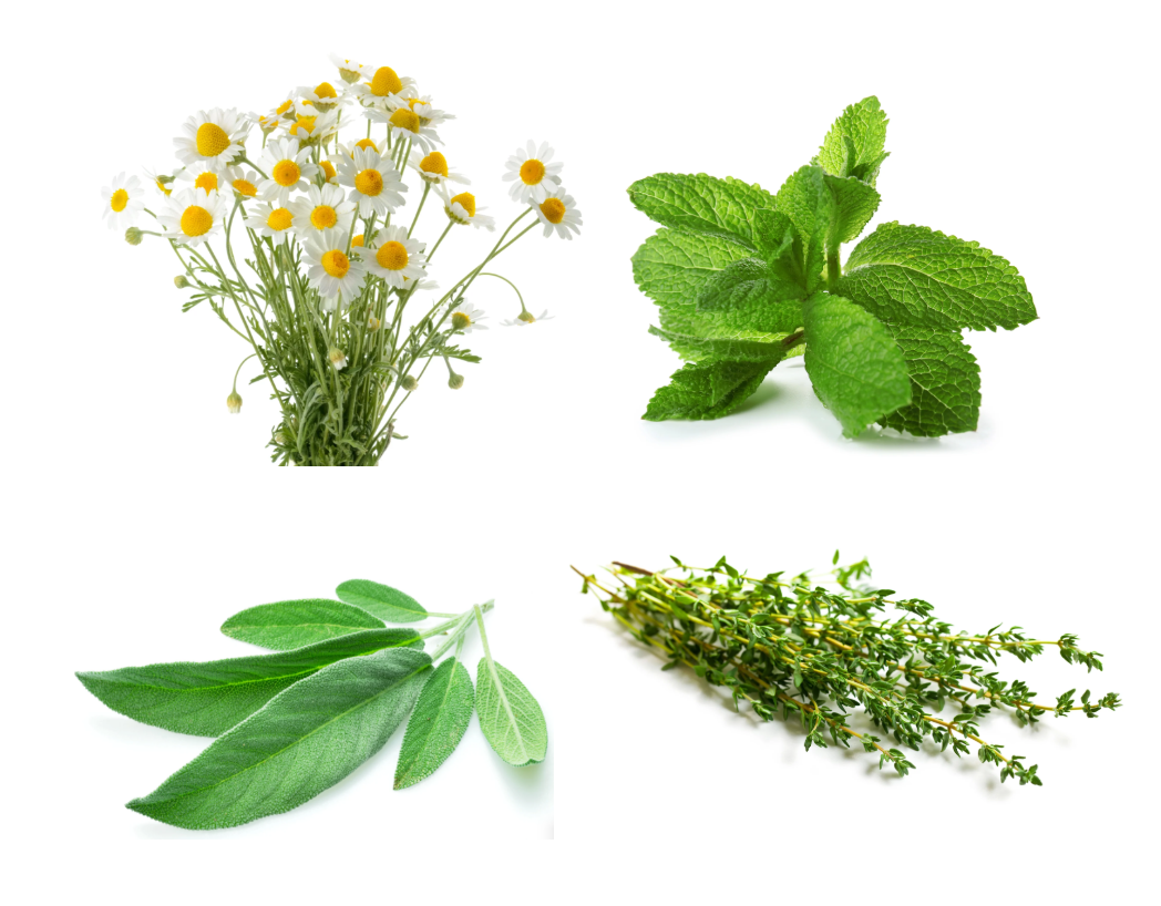 West Kent 21 Pod Smart Garden Deluxe