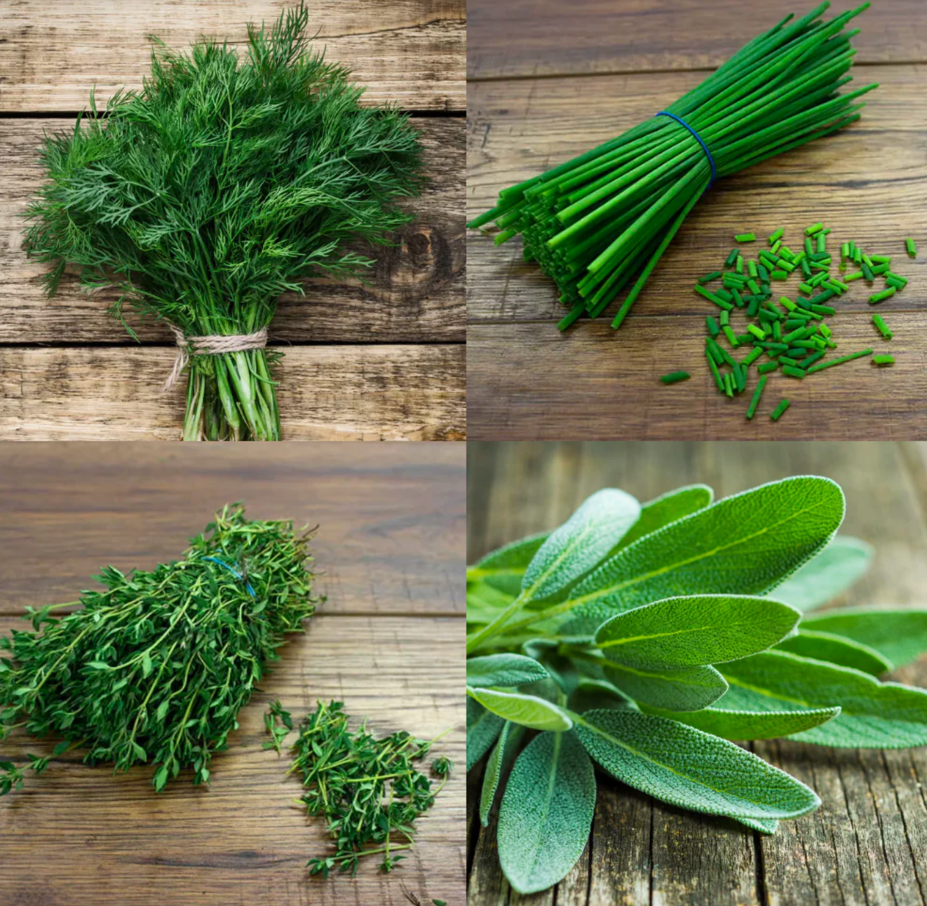 West Kent 15 Pod Smart Garden Pro