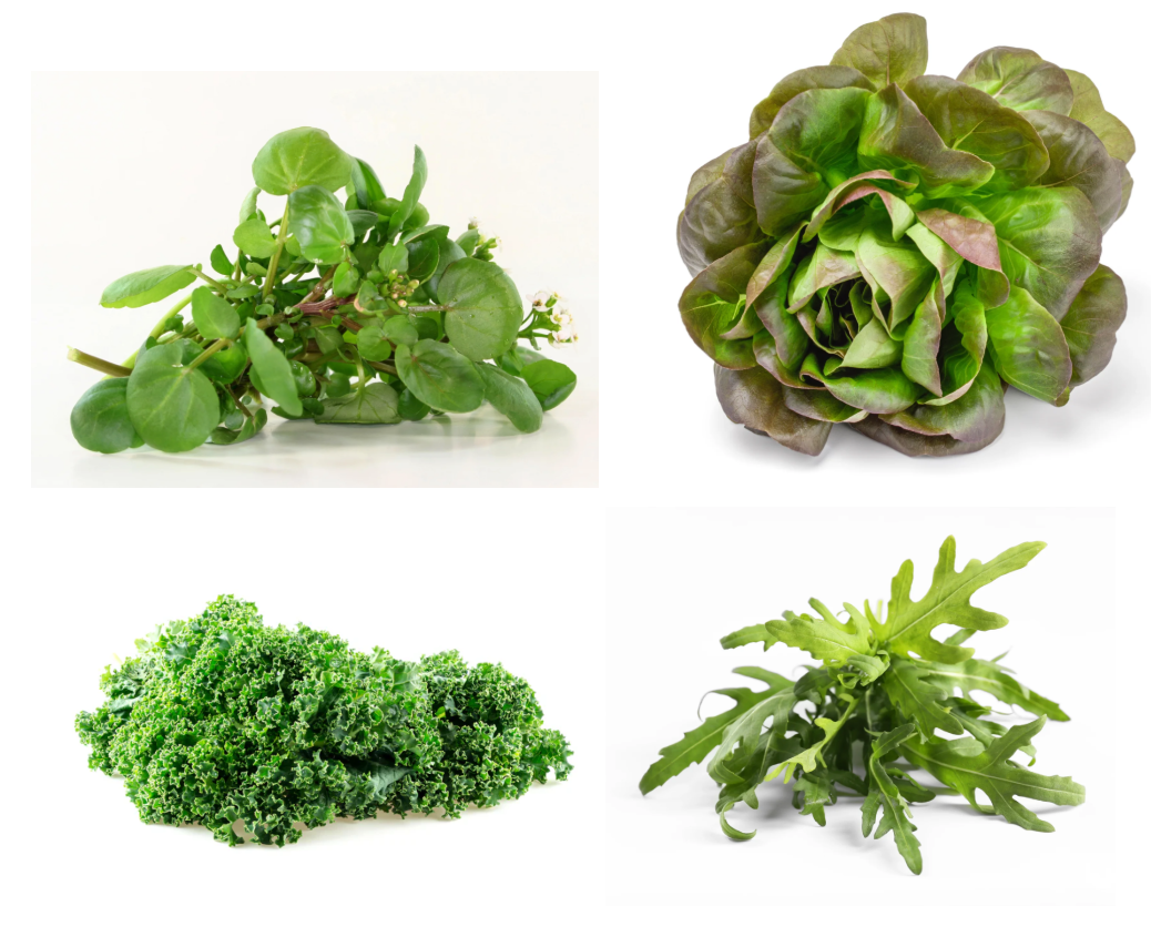 West Kent 21 Pod Smart Garden Deluxe