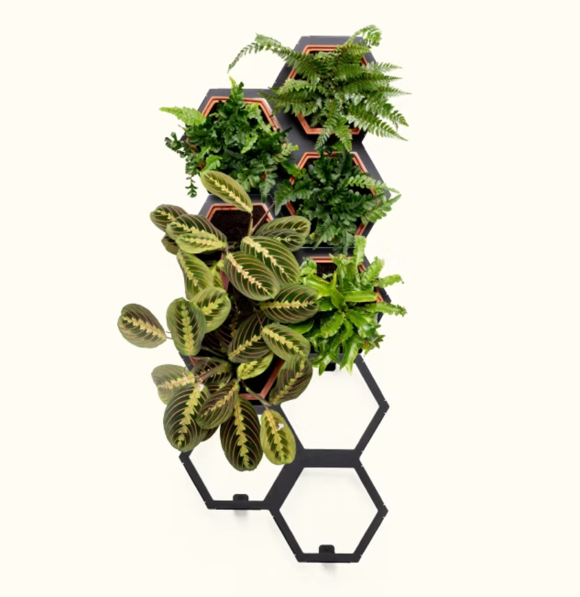 Horticus Medium Living Wall Kit