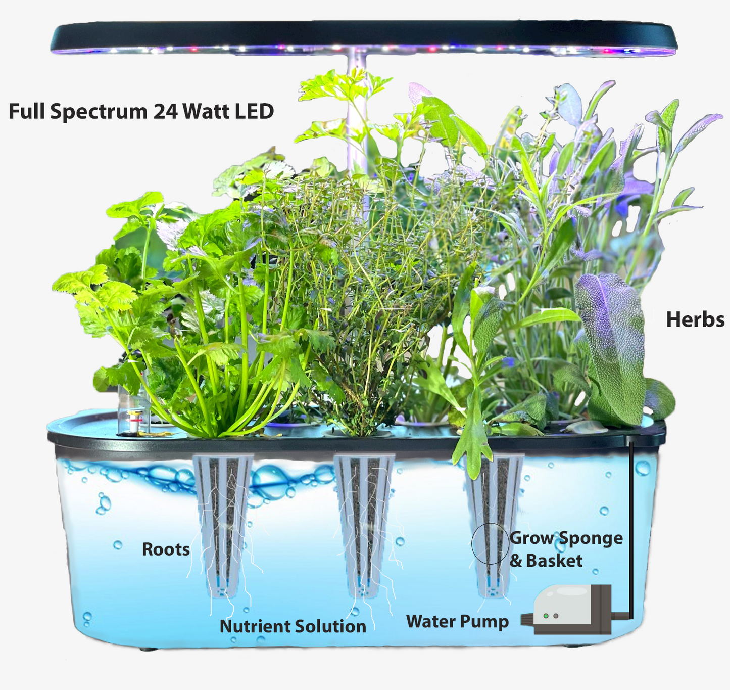 21 Pod Smart Garden Deluxe