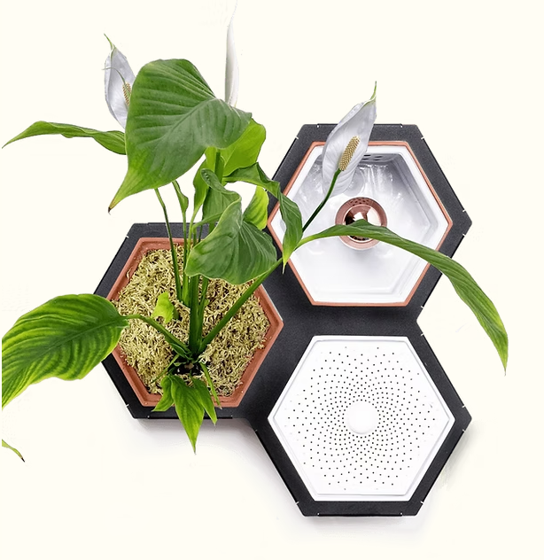 Horticus Mini Living Wall Kit