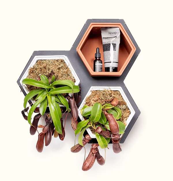 Horticus Mini Living Wall Kit