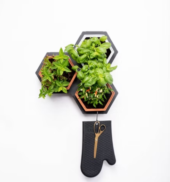Horticus Small Living Wall Kit