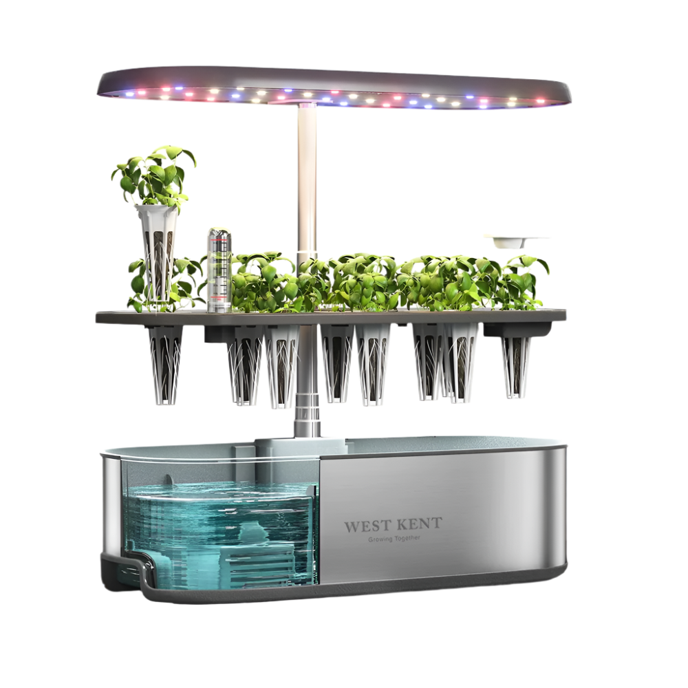 12 Pod Smart Garden Essential